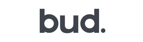 01 logo bud rvb