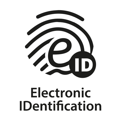 01 logo ei rvb