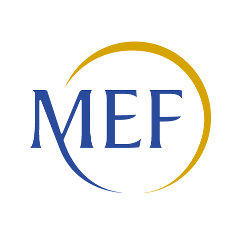 01 logo ministry italy rvb